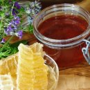 различни билки и мед за здрав имунитет на детето