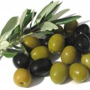 полезните свойства на маслините