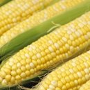 ползи за здравето от царевицата