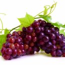 Как да се възползваме от чудодейните свойства на гроздето?