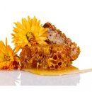 пчелен клей - ефикасно средство срещу грип и рак