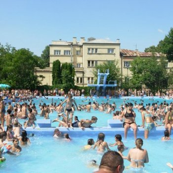 шест билки при проблеми с менструацията