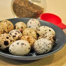 пъдпъдъчите яйца повишават защитните сили на организма