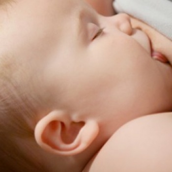 над 1300 бебета се родиха от началото на 2012 г.