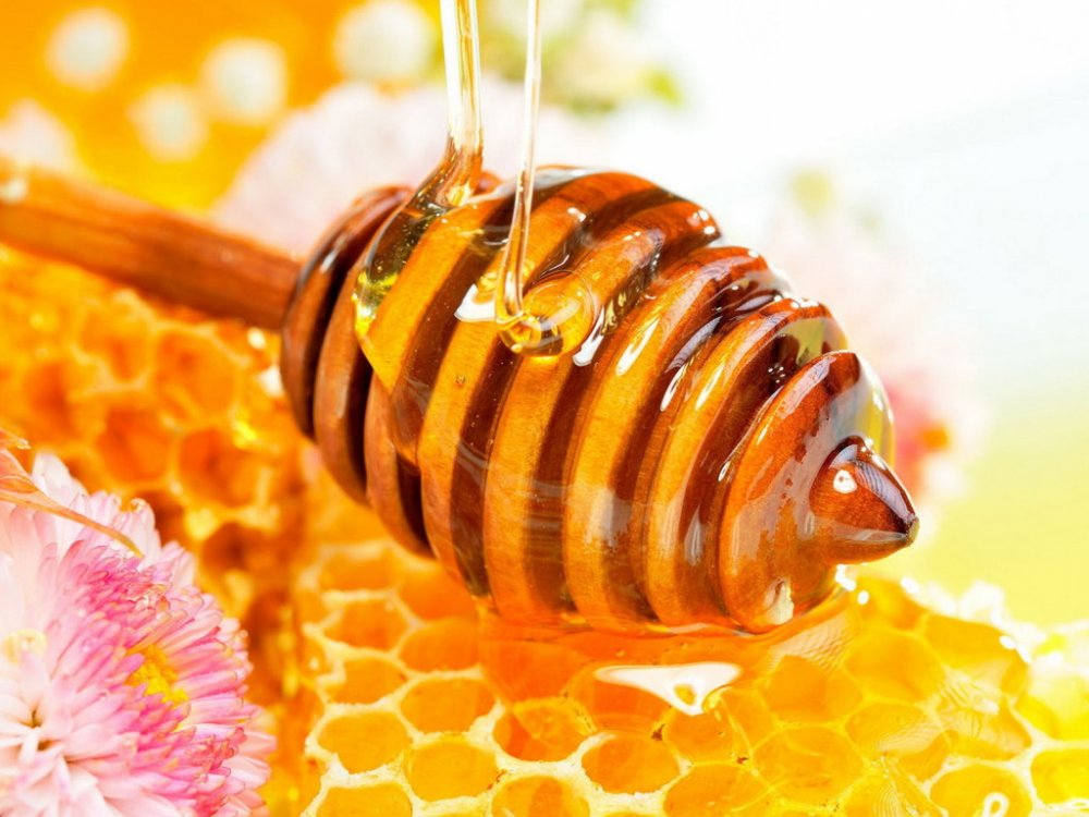 медът  чудото на природата