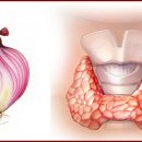 чудодейна рецепта при проблеми с щитовидната жлеза