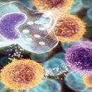 откритие на учен: ракът ежедневно ни заплашва, но побеждава нашата имунна система-