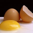 яйцата са полезни за зрението и паметта
