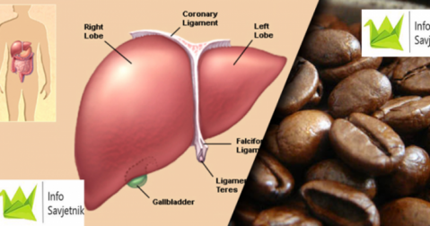 ето какво правят на черния дроб две чаши кафе