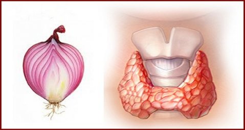 чудодейна рецепта при проблеми с щитовидната жлеза