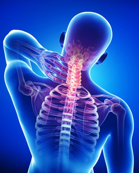 хроничната болка в гърба е пагубна за мозъка