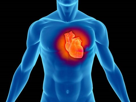 ето как за 2 минути да нормализирате работата на сърцето без лекарства