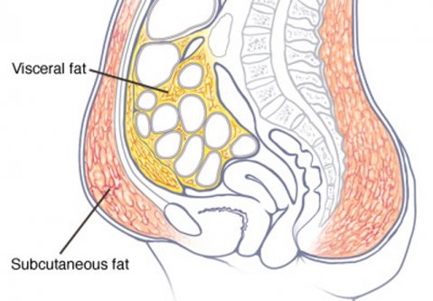 тридневна диета-спасение от мастните натрупвания по корема и вътрешните органи